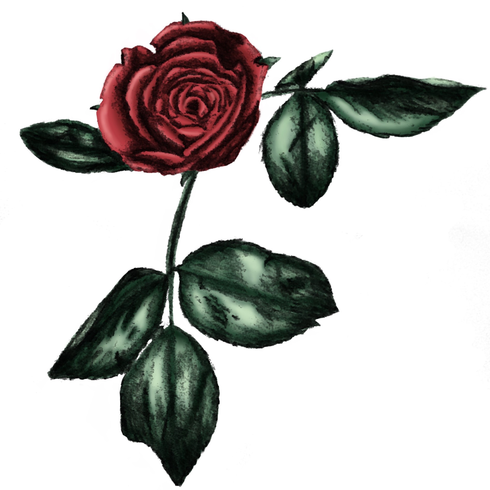 Rose Card